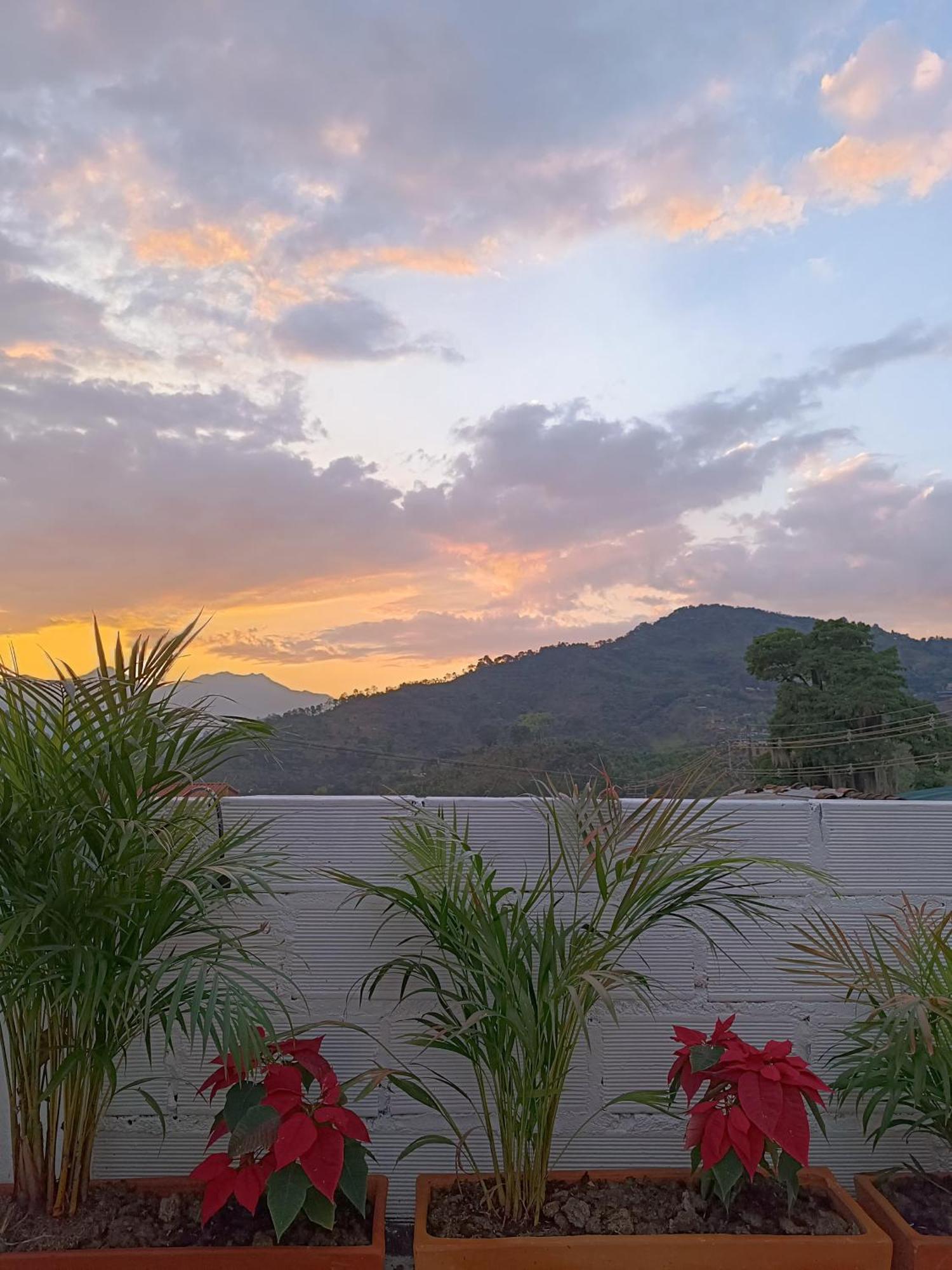 Magic Jardin Hostel - Patio, Balcony & Rooftop エクステリア 写真