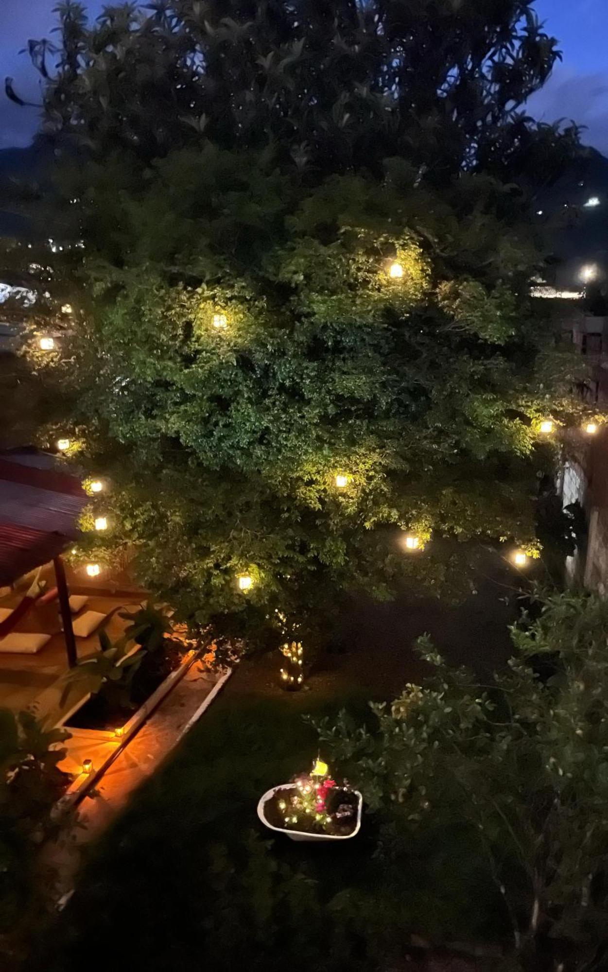 Magic Jardin Hostel - Patio, Balcony & Rooftop エクステリア 写真